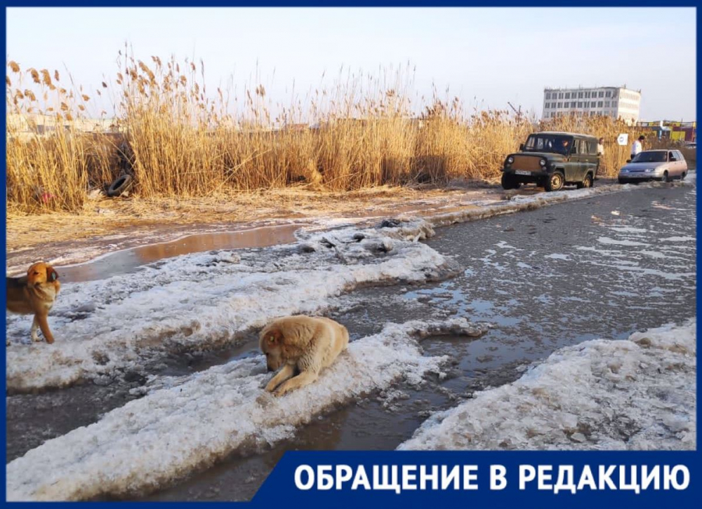 В Астрахани въезд на территорию полутора десятков предприятий затоплен канализационными отходами