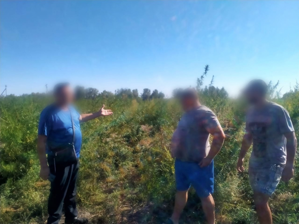 В Астраханской области у мужчины в машине нашли полкило конопли