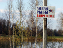 В Астраханской области установлены запретные для рыбалки места