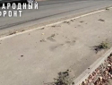 В Астрахани из асфальта на Энергетической проросли сорняки