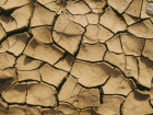 +32 и засуха: астраханцы в селе Капустин Яр две недели сидят без воды
