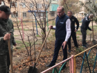 Игорь Седов помогает астраханцам озеленять дворы