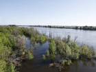 В Астраханской области могут продлить рыбохозяйственную полку