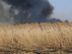 В Астрахани пожарные 40 раз тушили травяной пал за неделю