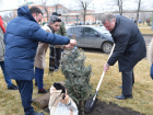 Игорь Бабушкин и Мария Пермякова высадили деревья в сквере Коновалова