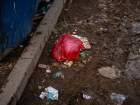 Городские власти убрали мусор после жалоб астраханцев в Сети