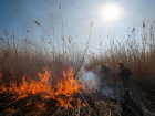 В Астрахани горели теплотрасса и большой участок тростника