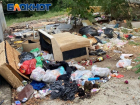Жители улицы Савушкина: мусор с улиц не вывозят уже полтора месяца