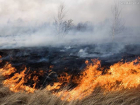 В Астраханской области объявлено штормовое предупреждение о пожароопасности
