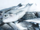 Астраханские предприниматели не смогли раскрыть происхождения 29 тонн рыбы