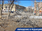 На улице Николая Островского коммунальщики уничтожили зелёные насаждения астраханцев