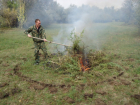 В Астраханской области уничтожили 13 очагов с дикорастущей коноплей 