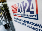 Депутаты астраханской облдумы активно участвуют в губернаторских выборах