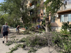В Астрахани сильный ветер повалил деревья и оборвал провода вблизи жилых домов