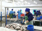 В Астраханской области прогнозируется рост цен на рыбную продукцию