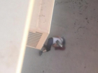 В Астрахани с пятого этажа на крышу магазина упал мужчина
