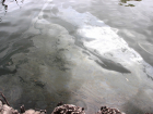 В Астрахани снова обнаружено загрязнение акватории Волги