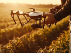 Бороться с сельскохозяйственными вредителями в Астраханской области будут дроны