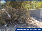 Жители Трусовского района Астрахани жалуются на горы сухих веток