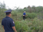 В Астраханской области уничтожили более 68 тысяч «квадратов» запрещенных растений