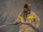 Причиной крупнейшего пожара в Астраханском заповеднике мог стать поджог