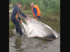 В Астрахани тело неизвестного мужчины извлекли из воды и передали полиции