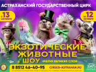 В Астраханском цирке пройдет фееричное шоу «Магия великих слов»