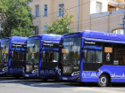 Астраханская область получит еще 300 автобусов разного класса