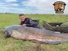 Астраханец поймал и отпустил 124-килограммового сома 