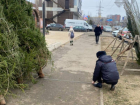 В Астрахани полиция изъяла 196 хвойных деревьев у нелегальных торговцев