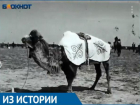 В Астраханской области скачки на верблюдах закончились беспорядками