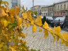 На астраханском рынке труда наступил высокий осенний сезон