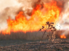 27 июня в Астраханской области ожидают 5 класс пожароопасности