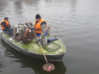 Астраханские коммунальщики начали убирать мусор из городских каналов