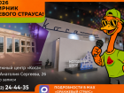 «Оранжевый Страус» приглашает астраханцев на отчетное мероприятие