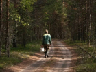 В Астраханской области гражданам придется покинуть леса до 30 мая