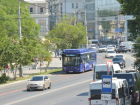 В Астрахани опилят мешающие проезду общественного транспорта ветки деревьев
