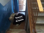В Астрахани корова оккупировала подъезд жилого дома