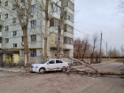 Из-за ветра в Астрахани на машину упало дерево