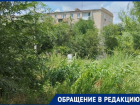 Жители микрорайона АЦКК в Астрахани просят благоустроить территорию, которая зарастает камышом
