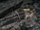 570 сгоревших домов и расплавленные колокола: как в Астрахани огонь бушевал