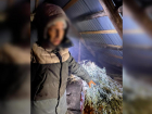 Астраханцу грозит до 20 лет тюрьмы за сушку марихуаны на чердаке