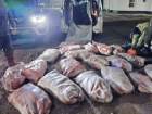 У астраханца конфисковали машину за перевозку водных биоресурсов