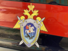 Подросток из Астрахани и его друг пытались стать наркобаронами