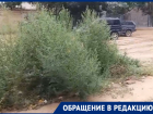 Астраханцы в микрорайоне Бабаевского не испытывают эйфории от травы