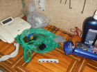 Астраханец пытался передать заключённому наркотики во флаконе из-под шампуня