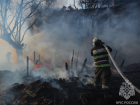 С начала года в Астраханской области случилось 2782 возгорания сухостоя