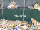 Власти астраханского села считают нормальной жизнь без света, воды и дорог