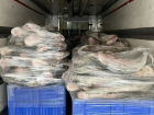 Под Астраханью незаконно реализовали 116 тонн немаркированной рыбы