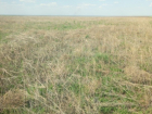 В Астраханской области выявлено более 8 тысяч гектар брошенной сельхозземли 